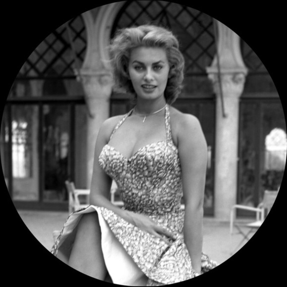 Meet your Posher, Lily - Picture 1 of 1